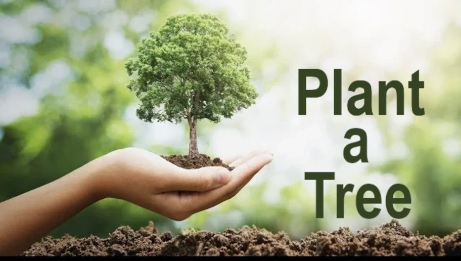 Plant_a_tree